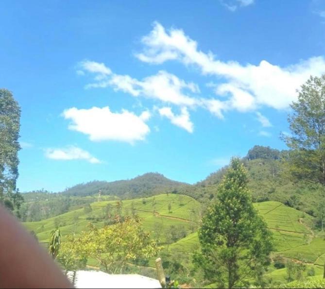 Nuwaraeliya Penthouse Apartment With Pool & Panaromic Views Нувара Елия Екстериор снимка